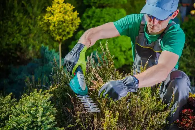 landscaping services Crown City